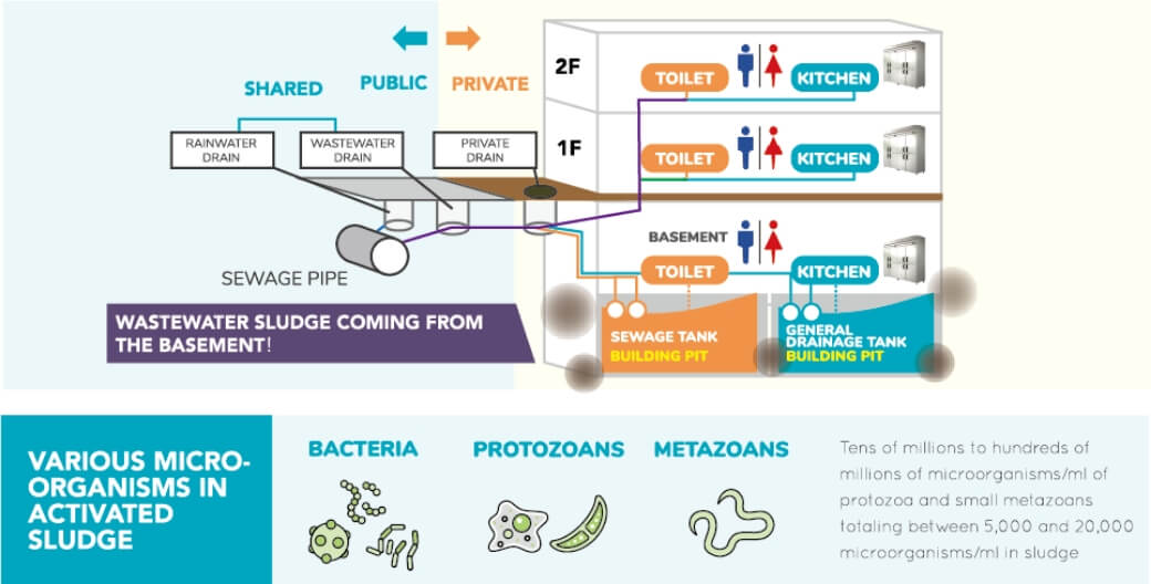The potential of microorganisms