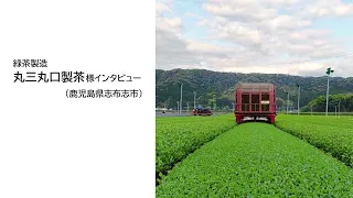 TOKYO8 鹿児島県のお茶農家さんインタビュー